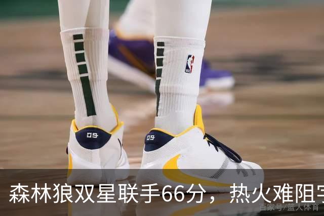 森林狼双星联手66分，热火难阻字母哥孤军奋战